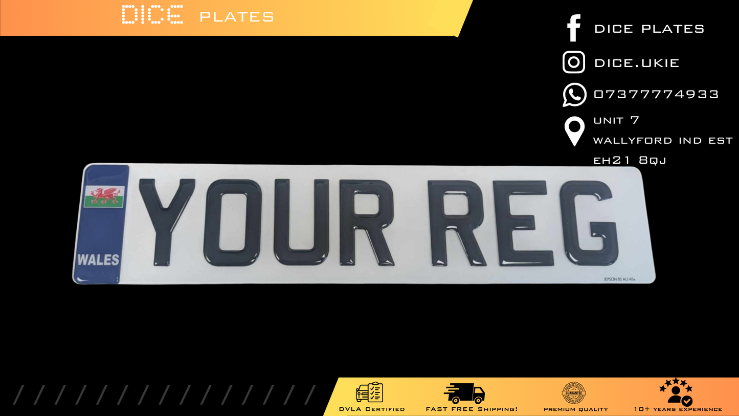 3D Gel Number Plates with Blue Wales Euro Badge